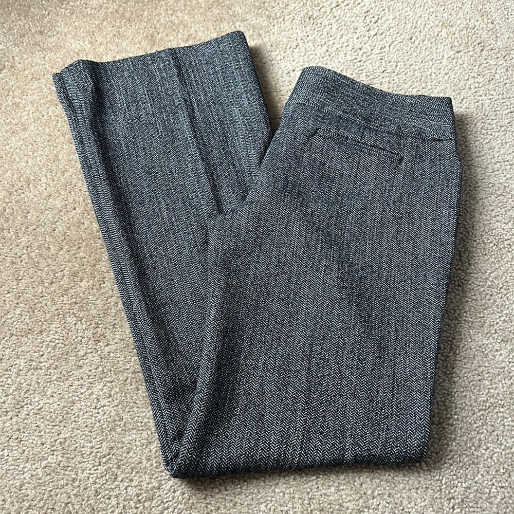 Express Editor Pants- LONG